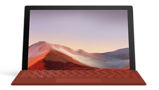 勃利清洁和维护 Surface